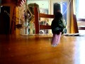 miniature