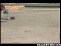 محترفى اليابان 