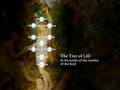 6: The Two Trees - Kabbalah and Tantra Magic Video
