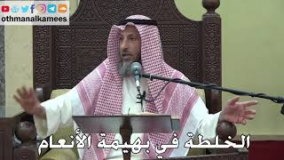 988 - الخلطة في بهيمة الأنعام - عثمان الخميس - دليل الطالب