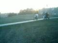 miniature