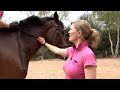 How To Position Your Horse To A Gallop