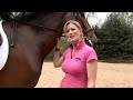 How To Position Your Horse To A Gallop