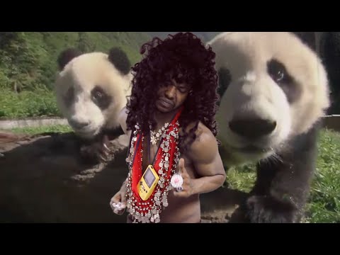 Panda Pizza music video by Paperboy Prince of the Suburbs