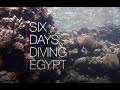 Six Days Diving Egypt | Various