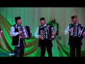 В День города пройдет праздник гармони