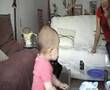 miniature