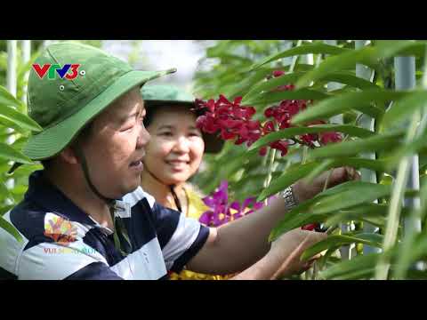 Điều giản dị hạnh phúc: Niềm vui trồng cây