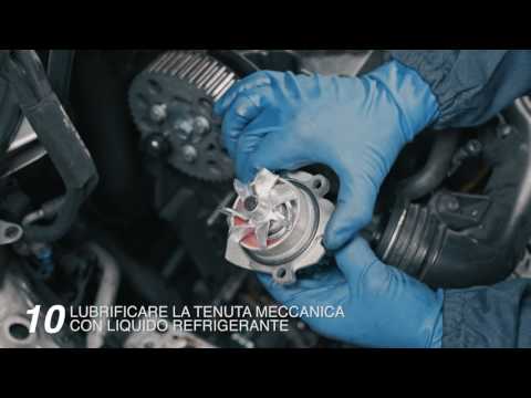 Расположение у Alfa Romeo 145 водяного насоса