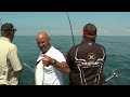 FISH TV Lake Erie Walleye