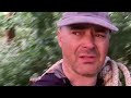 Amazing Dog-Tight Rope Walk Training