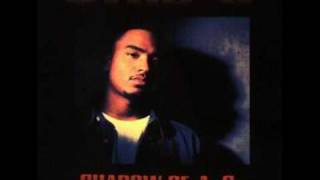 洋楽 G-RAP/STRAIGHT OUT THE STRUGGLE Kool G Rap & DJ Polo - On The Run - YouTube