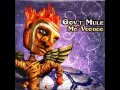 Govt Mule - My Oh My.wmv