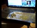 Best way to smoke wax