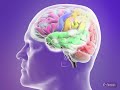 Classification of Epileptic Seizures