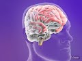 Classification of Epileptic Seizures