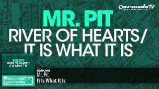 Mr. Pit - It Is What It Is (Original Mix)