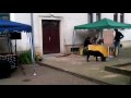 BRN 2010, Rothenburgerstraße, mit dem Musiklabor 77 aus Prohlis