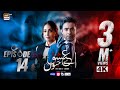 Aye Ishq e Junoon Episode 14  Ushna Shah  Sheheryar Munawar  24 Dec 2024  ARY Digital