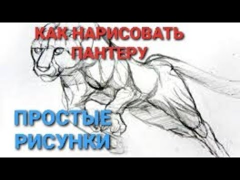 Интересное видео как легко рисовать по клеточкам пантеру