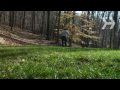 How to Get a Green Lawn