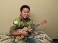 Learn to play the 'ukulele
