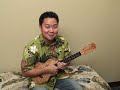 Learn to play the 'ukulele