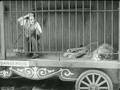 Charlie Chaplin - The Lions Cage
