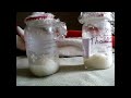 My Rice Experiment.
