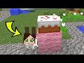 Minecraft: BUNNY HIDE AND SEEK! - BEATING POPULARMMOS Obrázok autora
