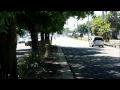 harley wheelies, burnouts, ( FXR, FXDX, BAGGERS )