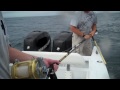 Wahoo & Tuna Fishing on the Outer Banks