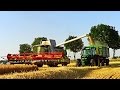 Żniwa 2015 już rozpoczęte! Świetny filmik pros
