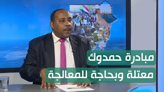 أ  حسن إسماعيل : مبادرة حمدوك معتلة وبحاجة للمعالجة