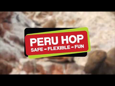 Main Page Video