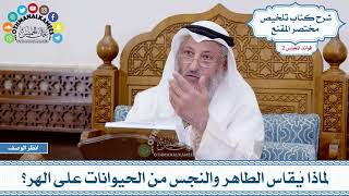 73 - لماذا يُقاس الطاهر والنجس من الحيوانات على الهر؟ - عثمان الخميس