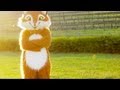 What Does The Fox Say? - The Fox Song Originally by Ylvis Cover