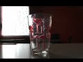 Amazing Water Trick! How to Suspend Water Without a Cup!