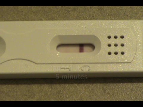 Faint Line Pregnancy Test. Dollar+tree+pregnancy+test