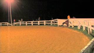 Bethel Road Saddle Club 13 Thru 17 Ride Like This Barrels Brand 130726 