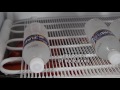 Instant Ice - Tips, Tricks, and Things to Watch Out For!