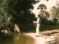 1956 World Champion Spin Casting Demonstration