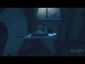 Among the Sleep - The Return to Infancy - IGN Plays