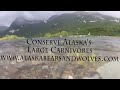 A grizzly Ate My GoPro!!! GoPro HD