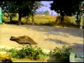 Babarkat.com INDIA Tour 2006 2 of 15.mp4