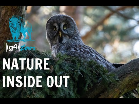 A brave nature photographer from Switzerland