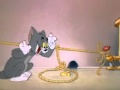 tomy & jerry