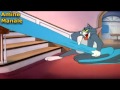 Maroc = Tom et Jerry= le réve