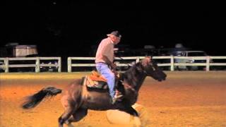 Bethel Road Saddle Club Fifty and Over Barrels Bobo 130726 