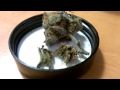 Purple Urkle Medical Cannabis Review